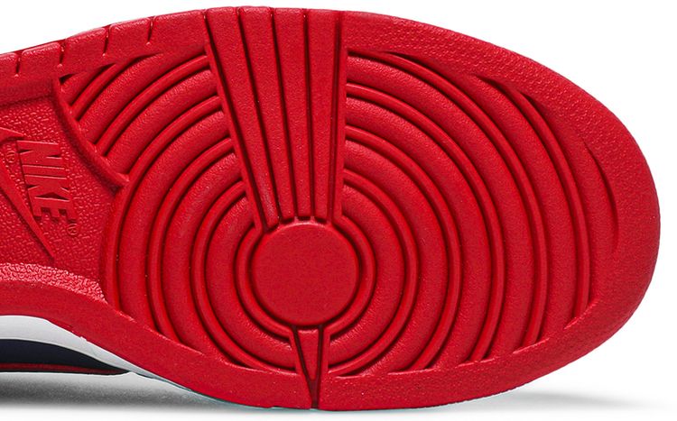 Nike Dunk Low Retro Samba 2020