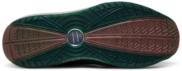 Florida AM University x LeBron 7 Retro Rattlers   Gorge Green