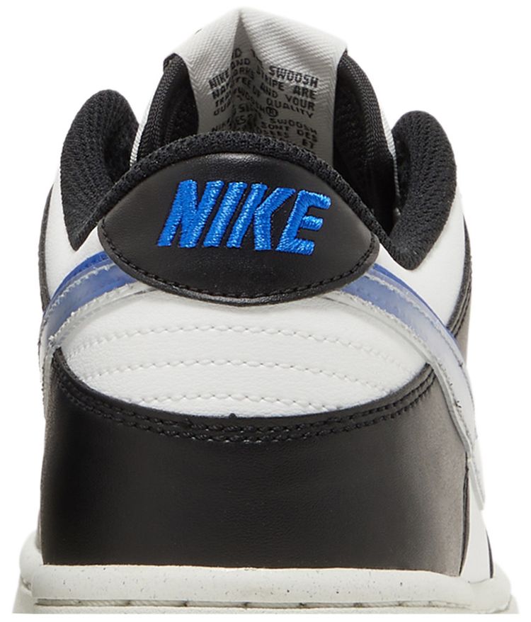 Nike Dunk Low Next Nature GS TPU Swoosh