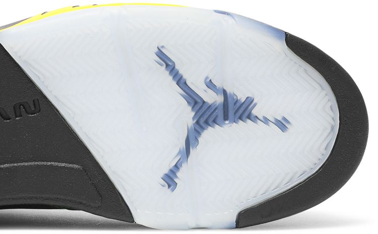 Air Jordan 5 Retro SE Oregon