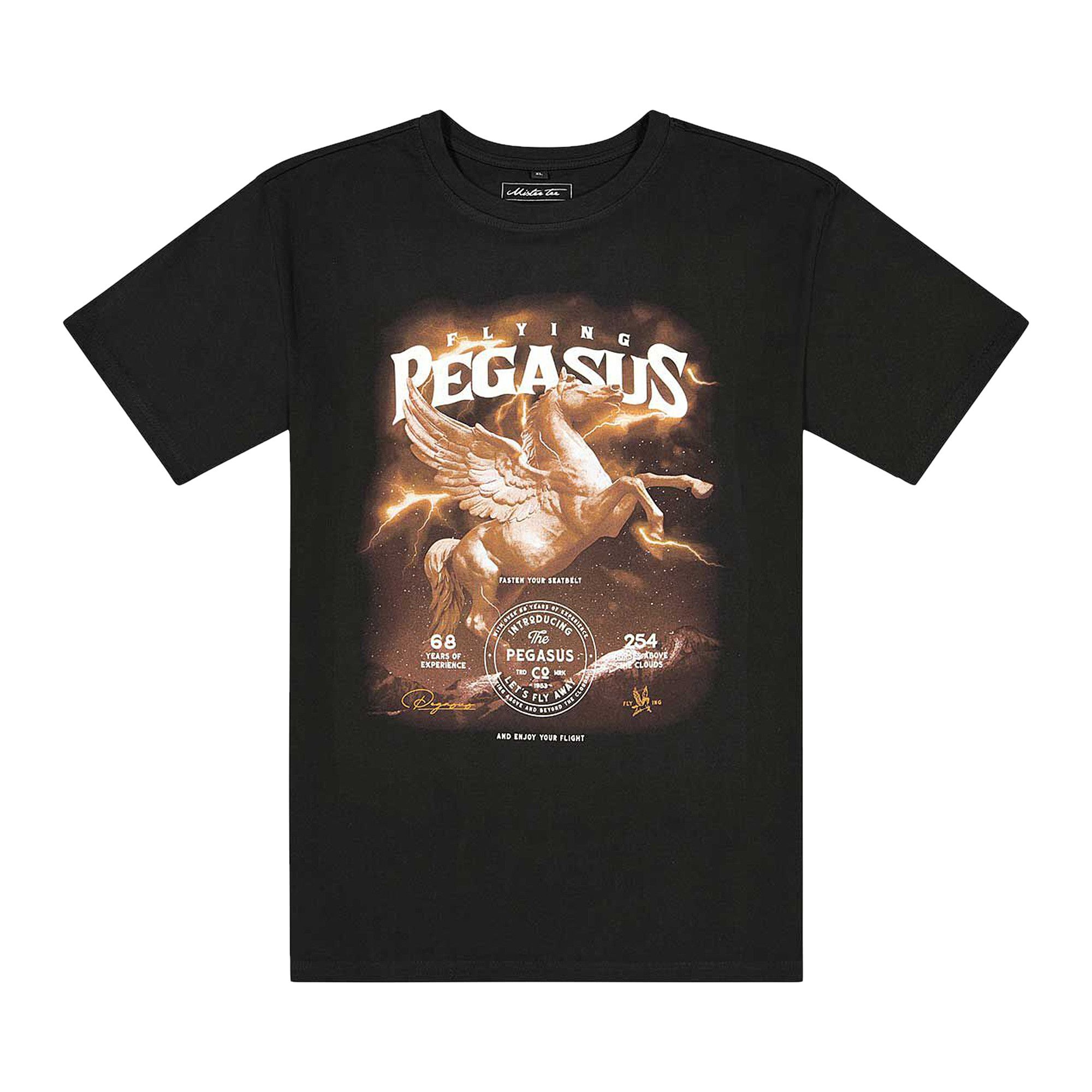 Tシャツ・カットソー AMIRI 'Pegasus' T-shirt AMIRI Vintage Pegasus T-shirt | Black | FARFETCH