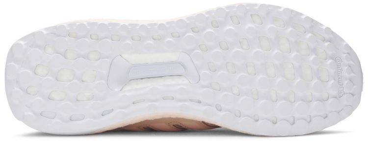 Adidas Wmns UltraBoost Pink Tint