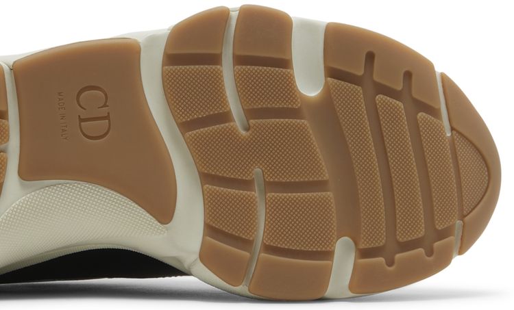 Dior B22 Coffee Violet