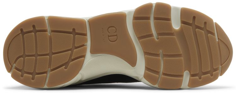 Dior B22 Coffee Violet