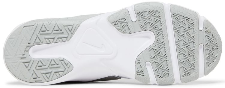 Nike Wmns Legend Essential 2 Photon Dust Metallic Silver