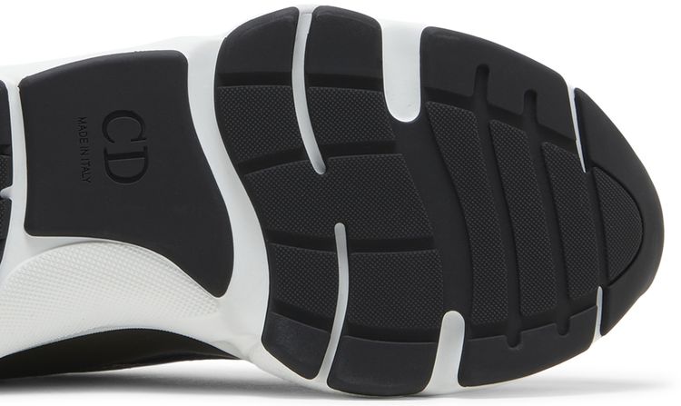 Dior B22 Blue Silver