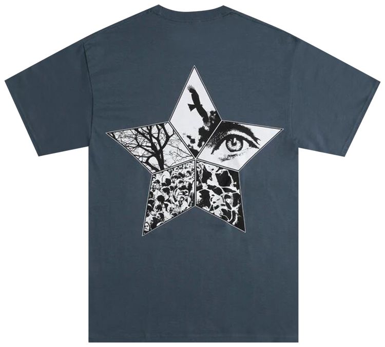 Pleasures Flying T Shirt Slate