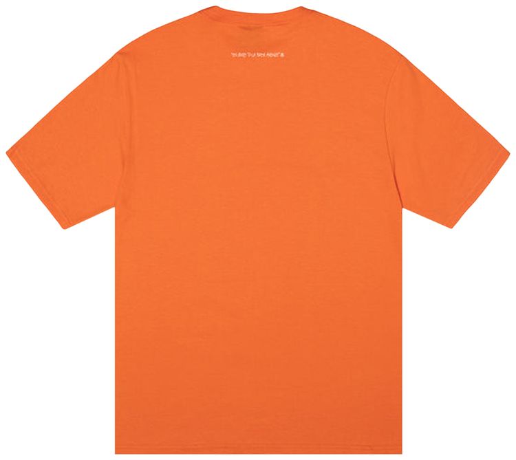Stussy SS Highway Tee Coral