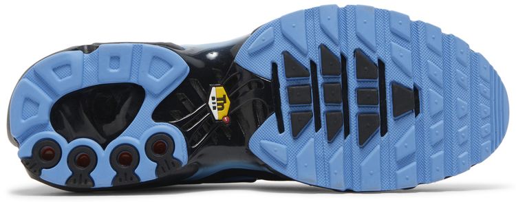 Nike Air Max Plus Black University Blue