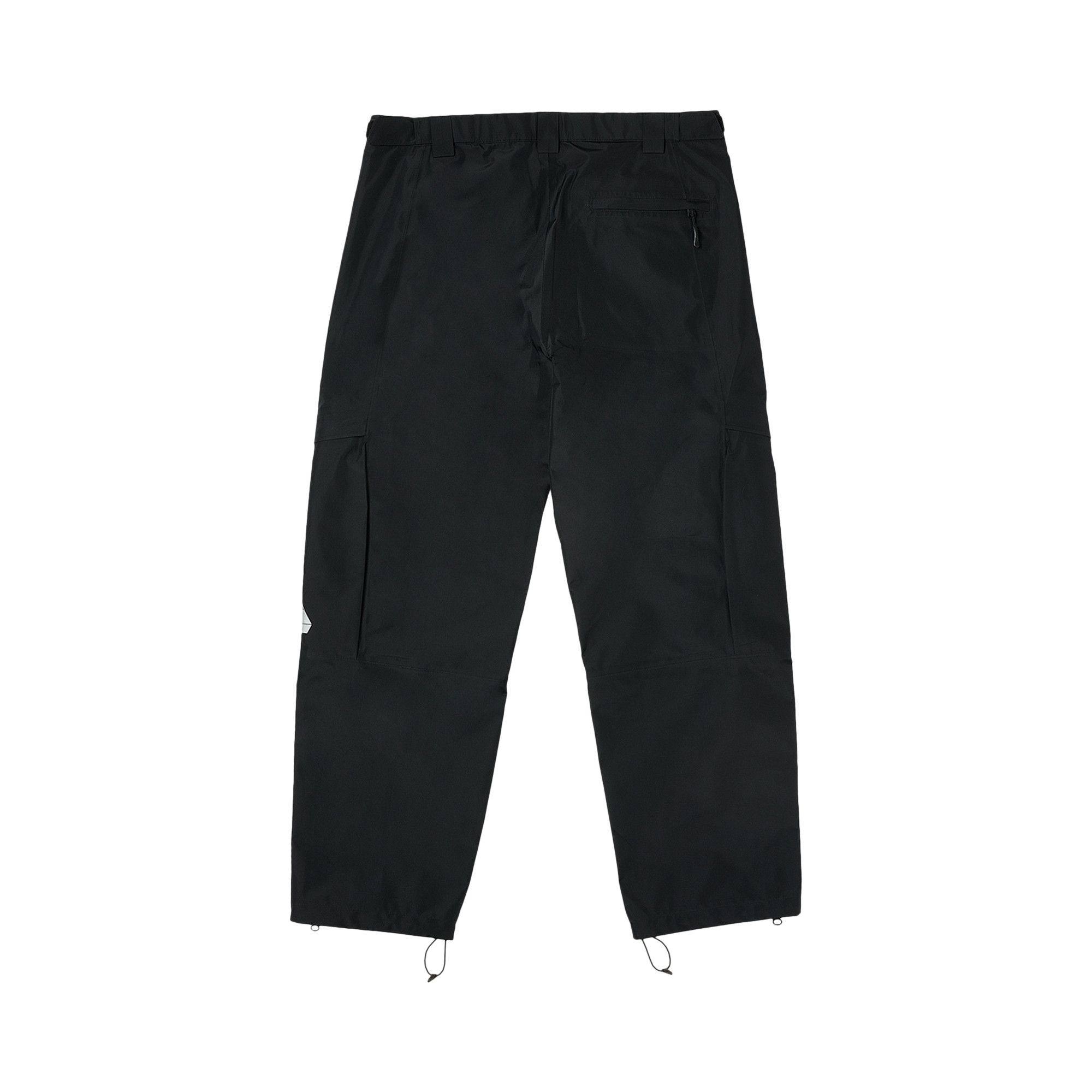 Buy Palace GORE-TEX Cargo Bottoms 'Black' - P23JG001 | GOAT