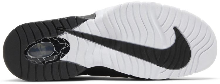 Nike Air Max Penny 1 Tiger Stripes