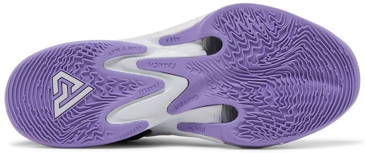 Zoom Freak 4 All Star