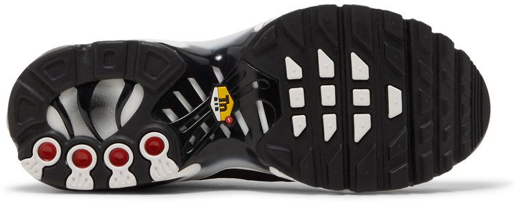 Nike Air Max Plus GS Black Metallic Silver