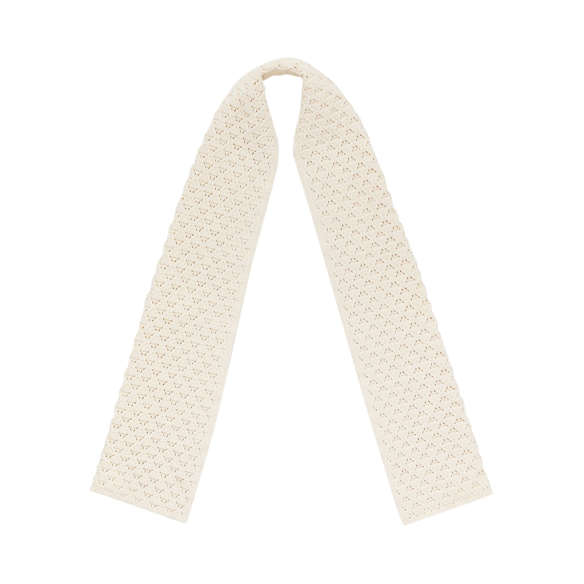 Buy Aimé Leon Dore Eyelet Knit Scarf 'Pristine' - SSS23AG002 PRIS | GOAT