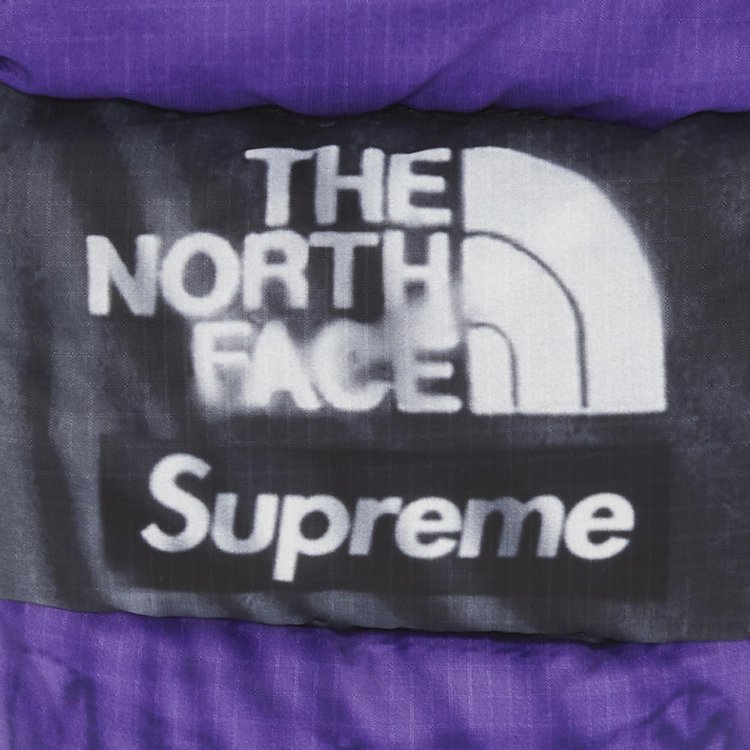 Supreme x The North Face Printed Montana Mitt Purple