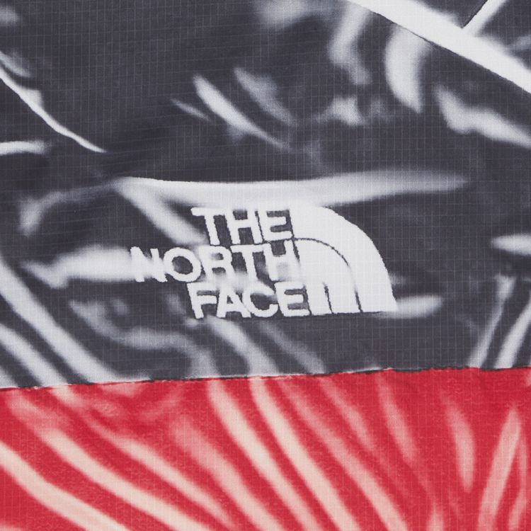 Supreme x The North Face Printed Nuptse Jacket Red
