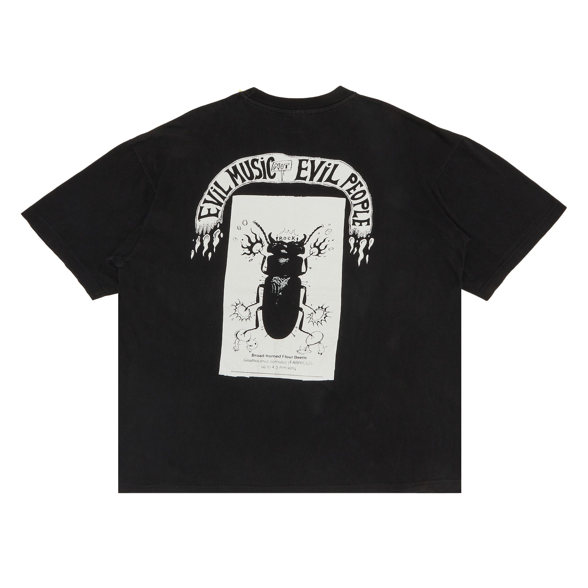 THE FLAMING LIPS Tシャツ 黒　サイズM mm] BFJP バンド Tシャツ 古着 黒 フレーミングリップス FLAMING