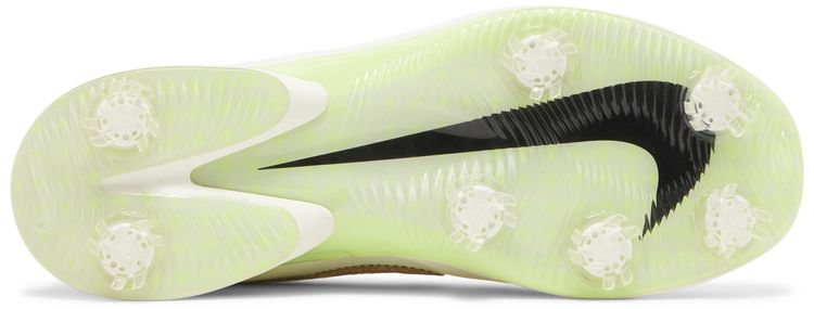 Nike Air Zoom Victory Tour 2 NRG Cork