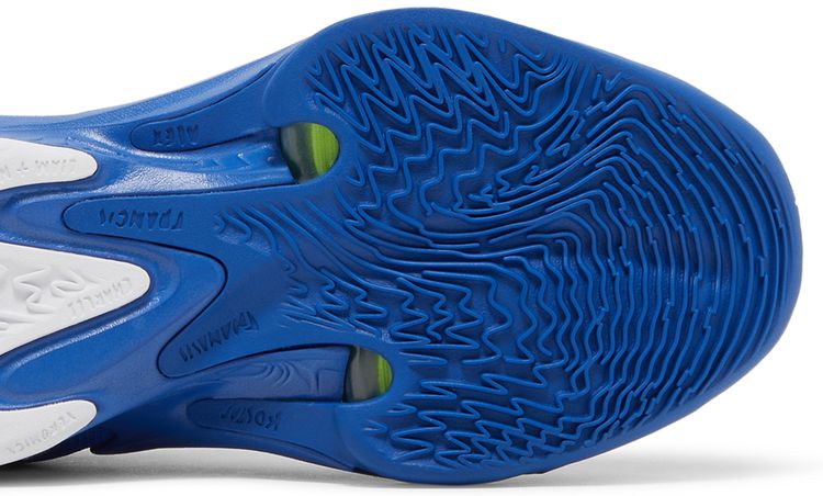 Nike Zoom Freak 4 TB Game Royal