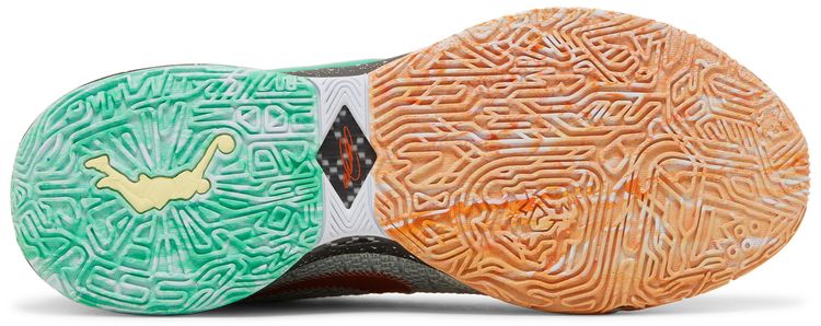 LeBron 20 Nike Lifer