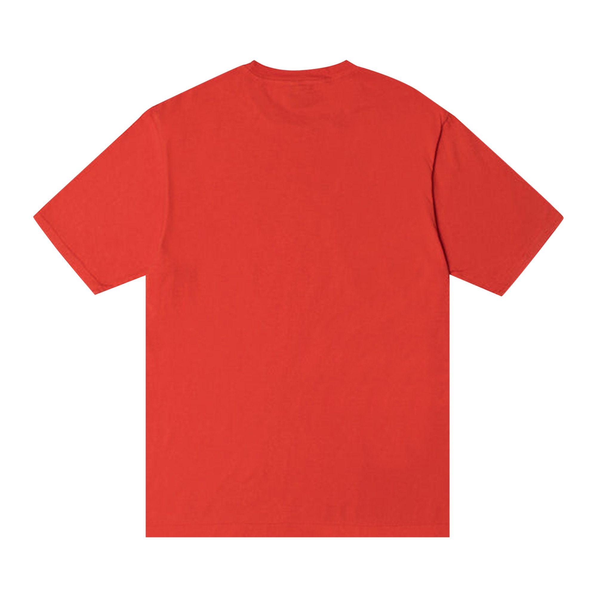 Buy Stussy Champion Pigment Dyed Tee Tomato 1904882 TOMA GOAT
