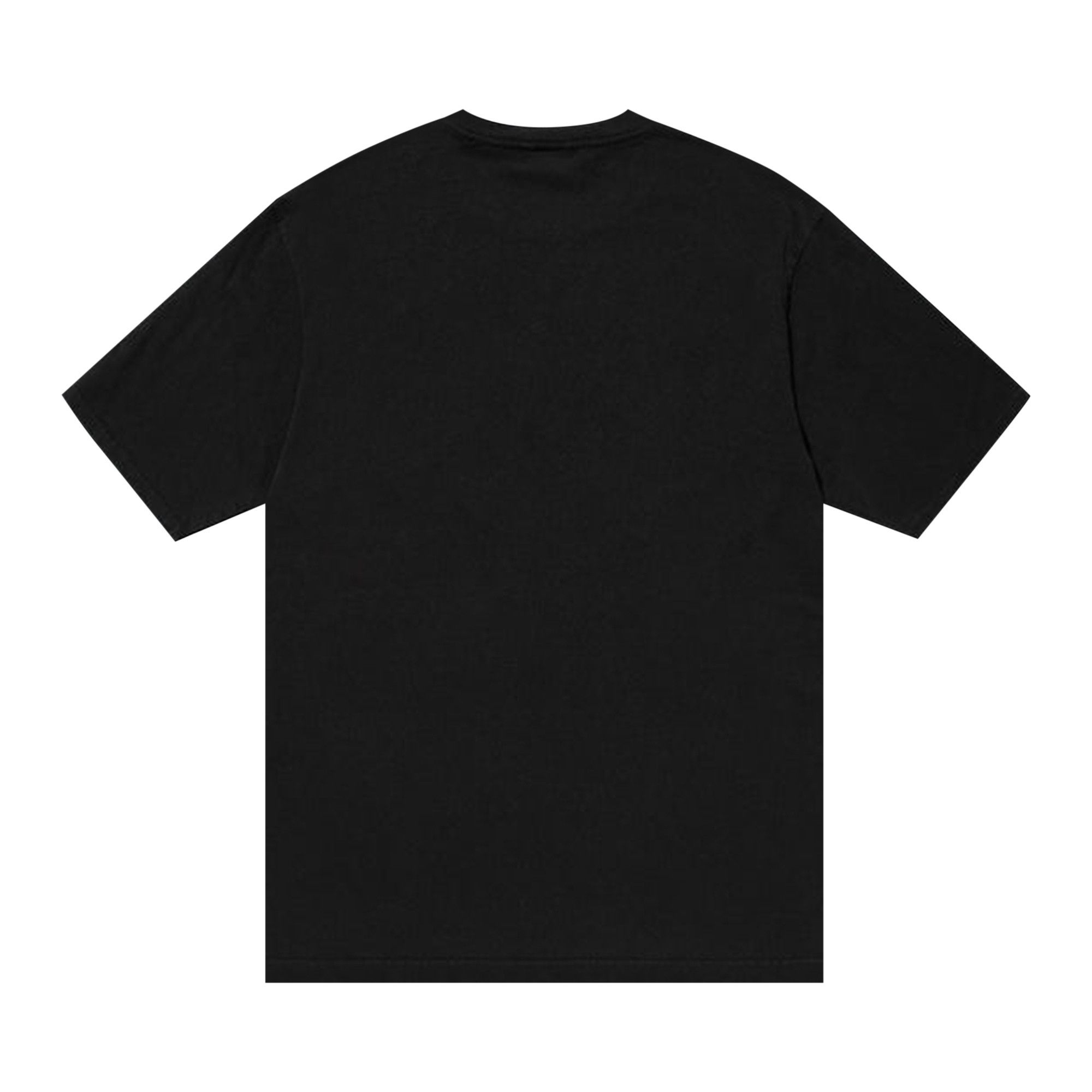 Buy Stussy Champion Pigment Dyed Tee 'Black' - 1904882 BLAC