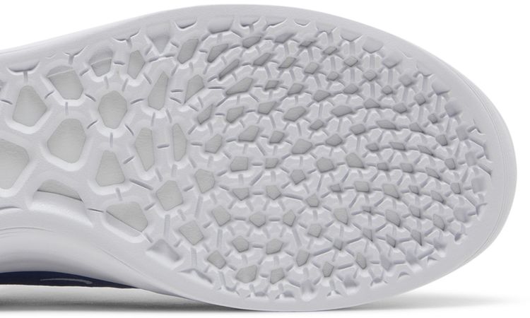 Nike Zoom Nyjah 3 SB Game Royal