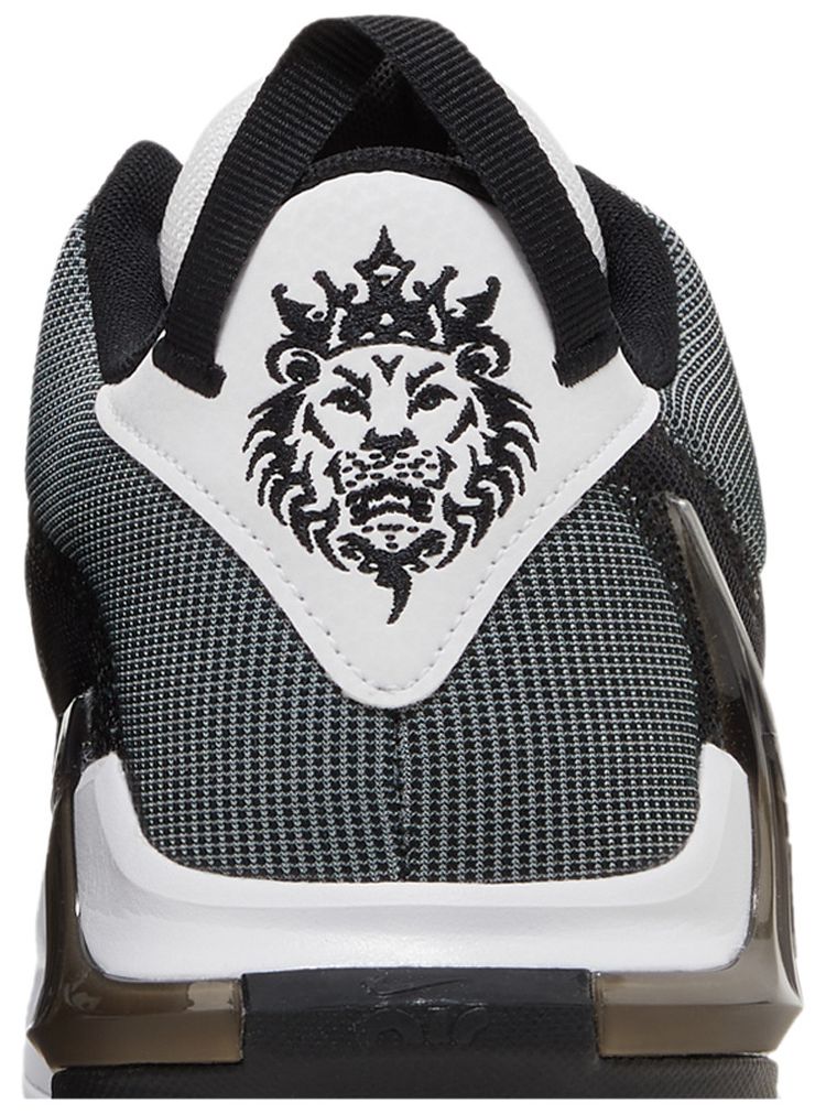LeBron Witness 7 White Black