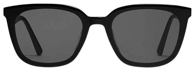 Gentle Monster Tam 01 Sunglasses Black