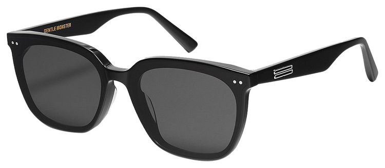 Gentle Monster Heizer 01 Sunglasses Black