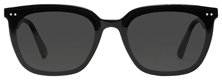 Gentle Monster Heizer 01 Sunglasses Black