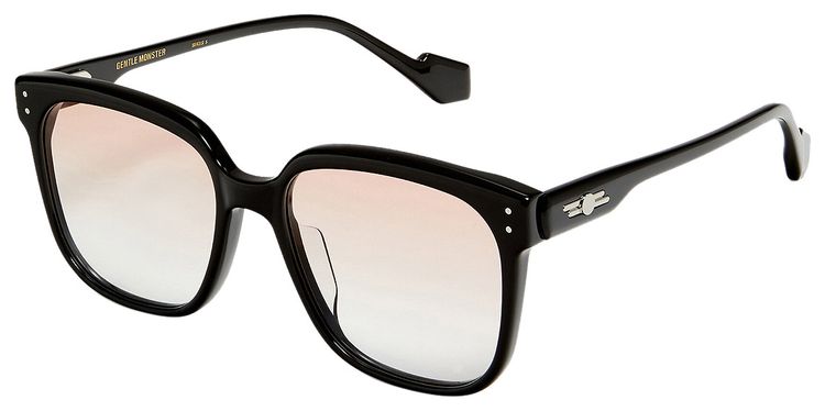 Gentle Monster Dion 01 Sunglasses Black