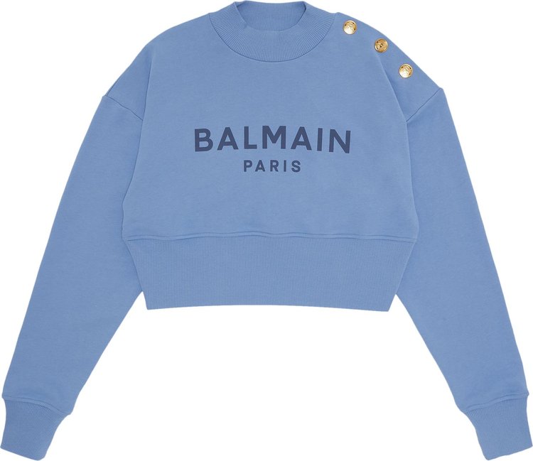 Balmain 3 Button Printed Sweatshirt 'Blue Clair/Blue Denim'