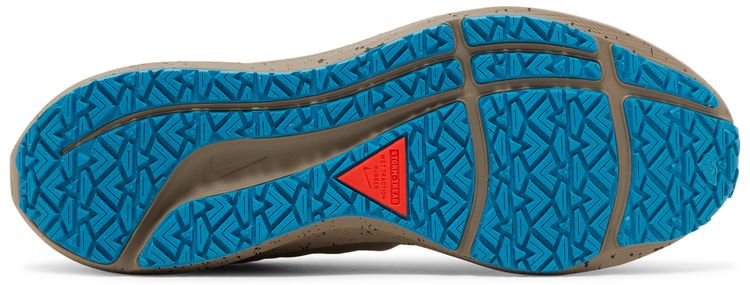 Nike Air Zoom Pegasus 39 Shield Medium Ash Bright Crimson Speckled