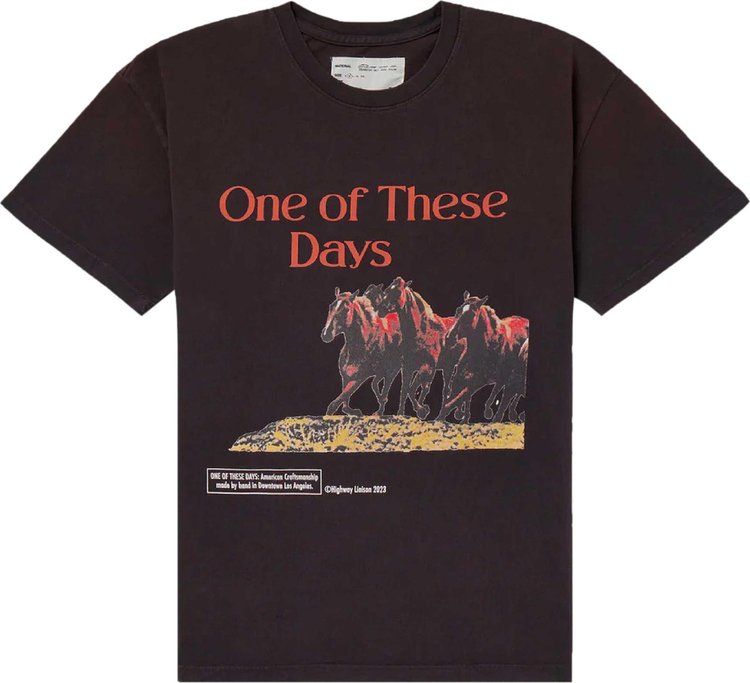 One Of These Days Wild Horses T-Shirt 'Faded Black'