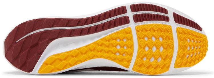 Nike NFL x Air Zoom Pegasus 39 Washington Commanders