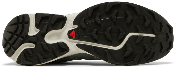 Salomon XT 6 Expanse Lily Pad