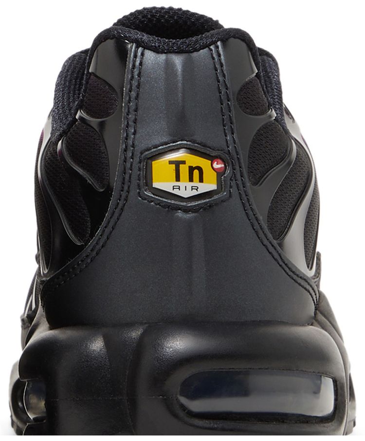 Nike Air Max Plus Pink Black Gradient