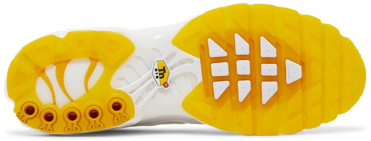 Nike Air Max Plus SE Frank Rudy