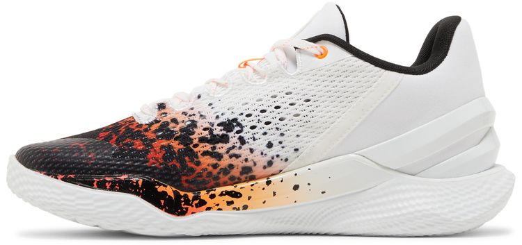 Curry 2 Low FloTro Chef Curry