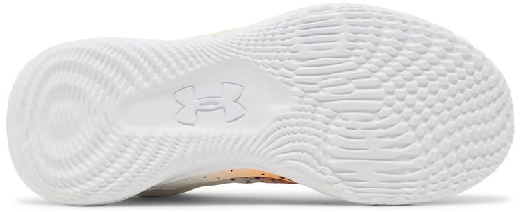Curry 2 Low FloTro Chef Curry