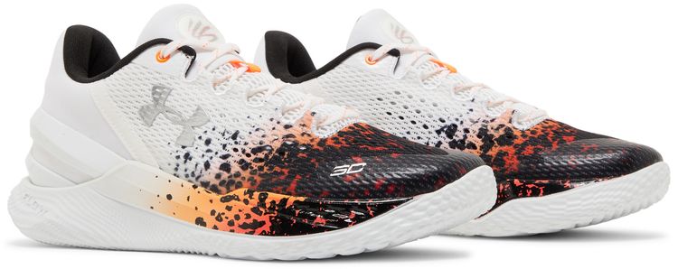 Curry 2 Low FloTro Chef Curry