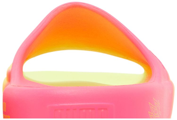 Rick and Morty x LaMelo Ball x Puma Shibui Cat Slide Adventures