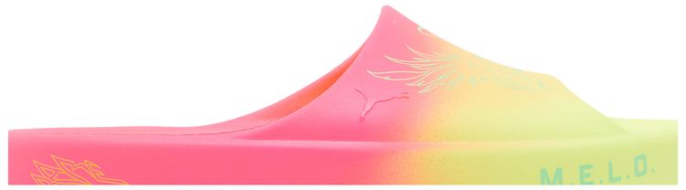 Rick and Morty x LaMelo Ball x Puma Shibui Cat Slide Adventures