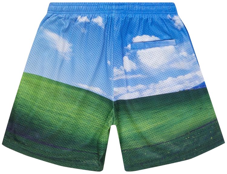 Market Bliss Mesh Shorts Blue