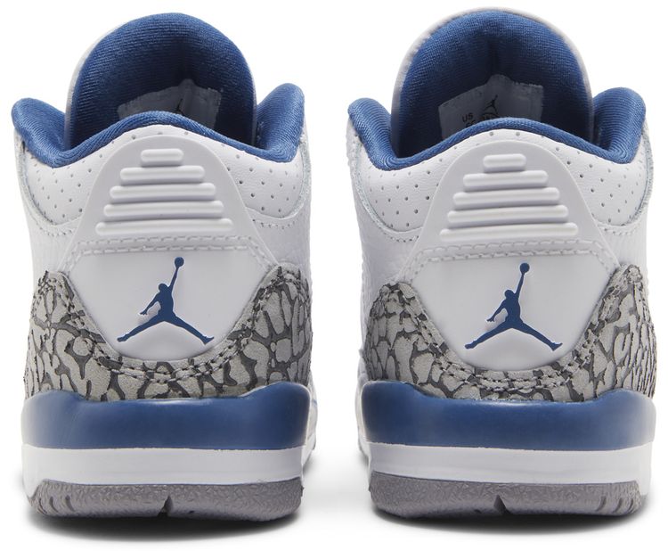 Air Jordan 3 Retro TD Washington Wizards
