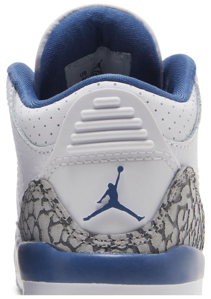 Air Jordan 3 Retro TD Washington Wizards