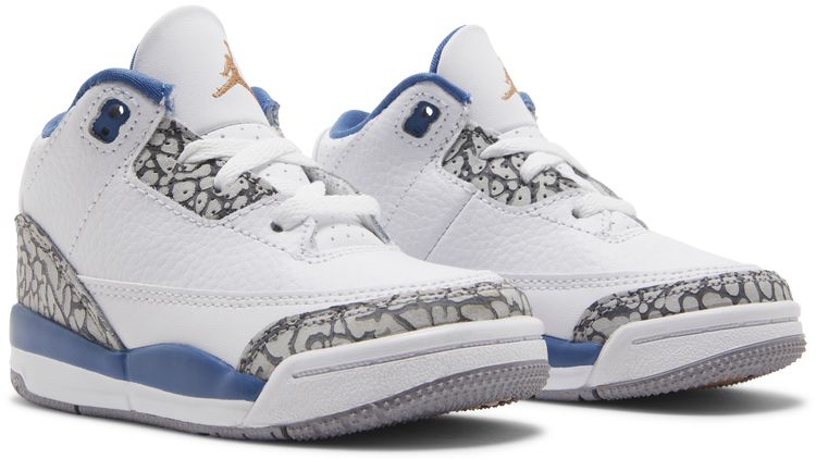 Air Jordan 3 Retro TD Washington Wizards