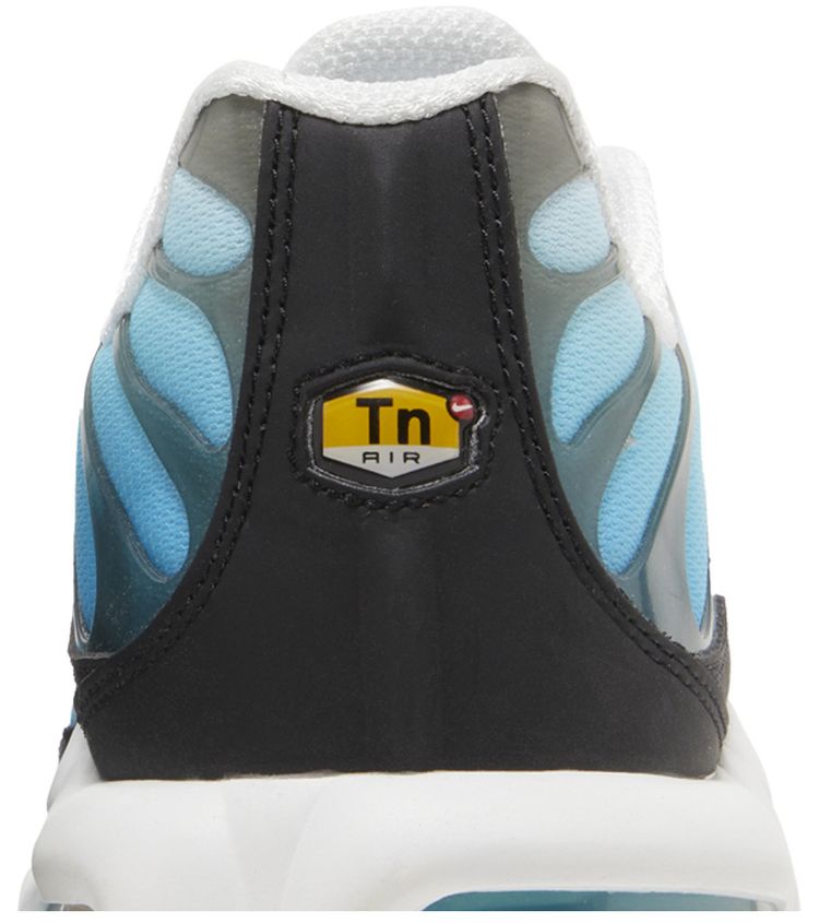 Nike Air Max Plus Baltic Blue