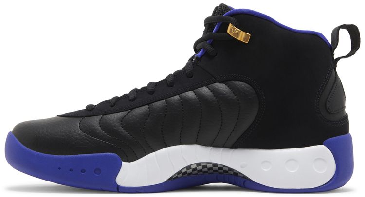 Air Jordan Jumpman Pro Black Concord